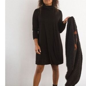 Jackson Rowe Black Ribbed Aline Turtleneck Dress